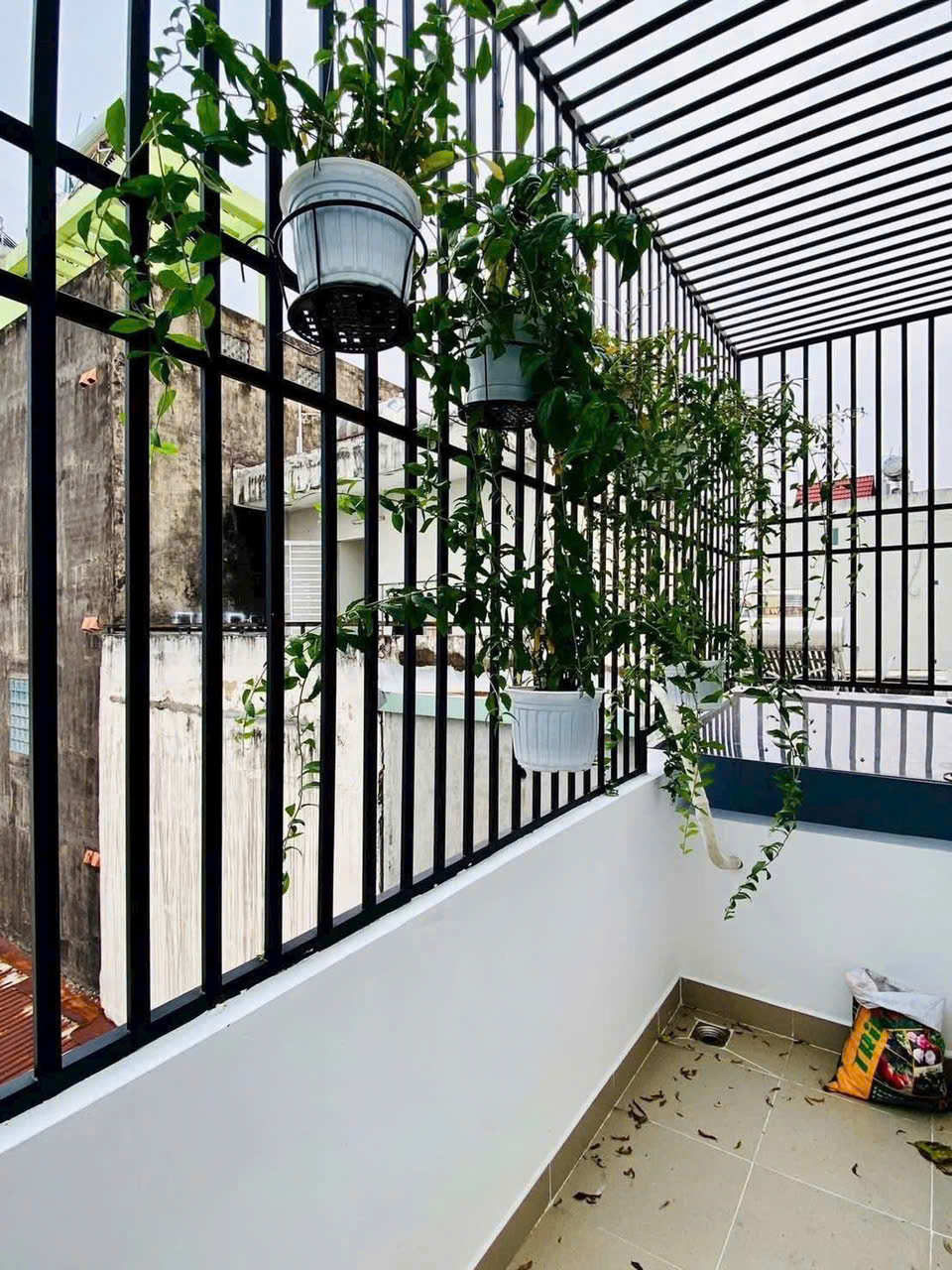 z4137770184516_88ab4471ab4be50b9cac0c8a9396dc63